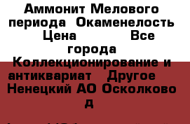 Аммонит Мелового периода. Окаменелость. › Цена ­ 2 800 - Все города Коллекционирование и антиквариат » Другое   . Ненецкий АО,Осколково д.